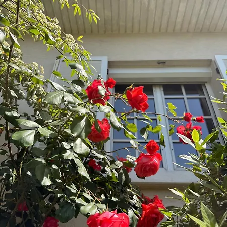 Maison Jouanno - Escape, Private Garden, 10min From Orly