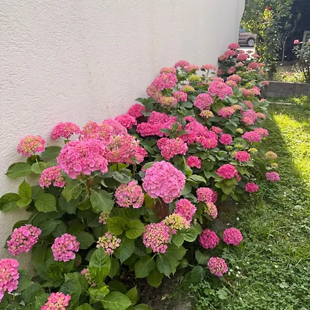 Apartamento Maison Jouanno - Escape, Private Garden, 10min From Orly